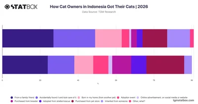 How Cat Owners in Indonesia Got Their Cats | 2026