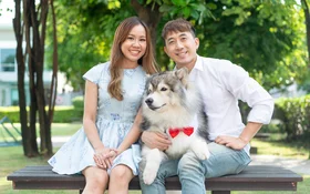 How Much Do Pet Owners Spend Across APAC Each Month? | TGM StatBox