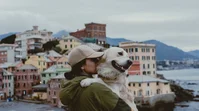 Italian Pet Breeds Ranked: Italy's Favorite Cats & Dogs | TGM StatBox