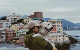 Italian Cat Breeds Ranked: Italy's Favorite Cats & Dogs | TGM StatBox