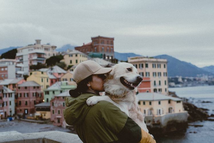 italian popular dog breed