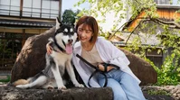 Get Into The Pet Culture in South Korea 2026 | TGM StatBox