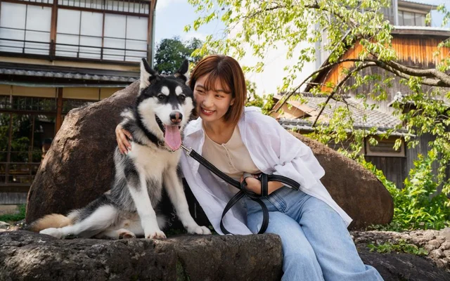 Get Into The Pet Culture in South Korea 2026 | TGM StatBox