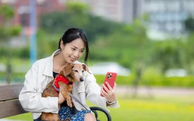 The Growing Influence of Pet Creators in China | TGM StatBox