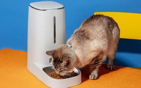 What Chinese Consumers Expect From Virtual Pets | TGM StatBox